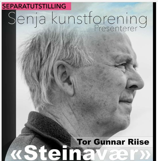 Tor til nettside